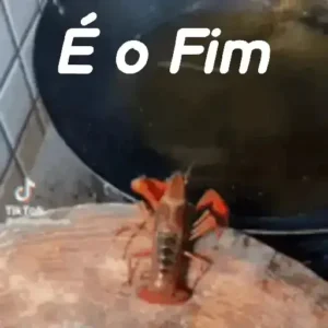 CAMARÃO SOB INTENSO TIROTEIO INSISTE EM “SE FRITAR- SE”