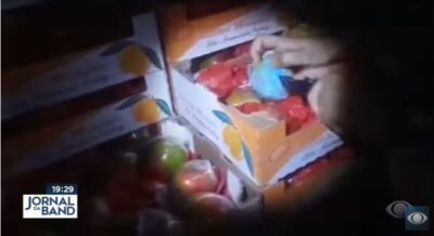 Veja no vídeo: TRF2 anula apreensão de 1 tonelada de cocaína e libera traficantes…