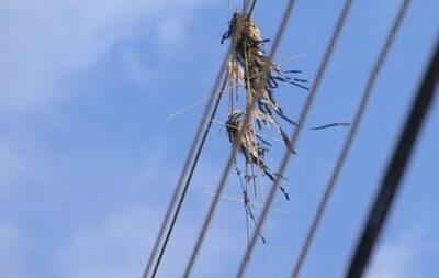 Equatorial Maranhão alerta para os perigos de acidentes com pipas na rede elétrica