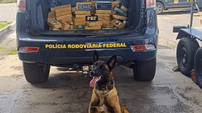 Mais de 120 kg de cocaína são apreendidos em carga de soja na BR-135, em São Luís