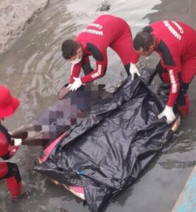 Corpo é encontrado próximo ao Anel Viário, em São Luís