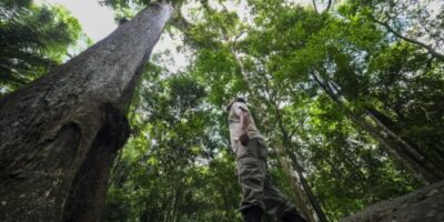 COP30: Brasil lança carta com 30 objetivos para proteção do clima
