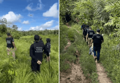 Polícia Civil destrói roça com 10 mil pés de maconha e prende três pessoas em cidade da Baixada Maranhense