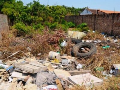 PL que obriga limpeza periódica de terrenos baldios tramita na Câmara de São Luís