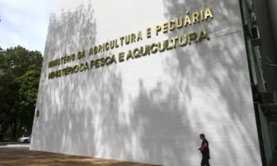 Sete casos de doenças respiratórias em aves são investigados no país