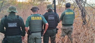 Ibama abre inscrições para concurso com salário de mais de R$ 9,9 mil