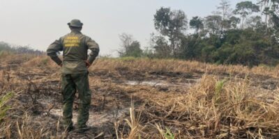 Brasil registra queda de 70% em área queimada no primeiro trimestre