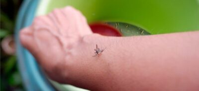 Sorotipo 3 da dengue preocupa especialistas em saúde este ano