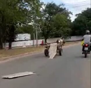 Veja no vídeo: animal solto correndo nas ruas de São Luís…