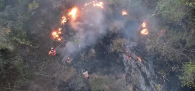 Câmara aprova aumento de punição a quem provocar incêndios florestais