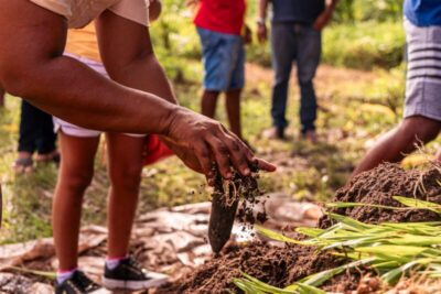 Maranhão é o segundo estado que mais recupera áreas degradadas no país