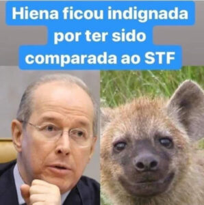 Hienas, democracia e respeito?