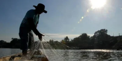 Maranhão é o estado que mais recebe Seguro