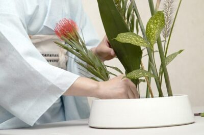 Sancionada lei que cria o Dia Nacional da Ikebana
