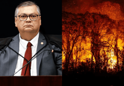 Dino manda União mobilizar Forças Armadas, PF, PRF e Força Nacional para combater incêndios na Amazônia e Pantanal
