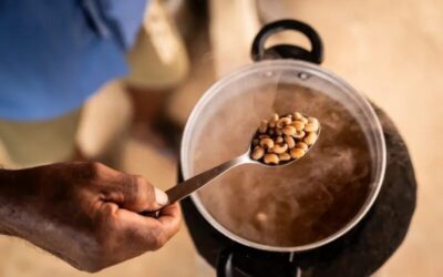 Guará News Maranhão | Brasil sai novamente do Mapa da Fome, aponta relatório da ONU