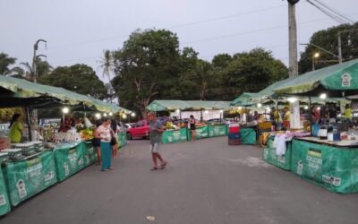 Paço do Lumiar lança projeto que une agricultura e cultura para impulsionar a economia e preservar tradições