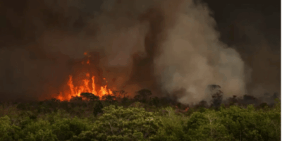 Câmara aprova aumento de punição a quem provocar incêndios florestais