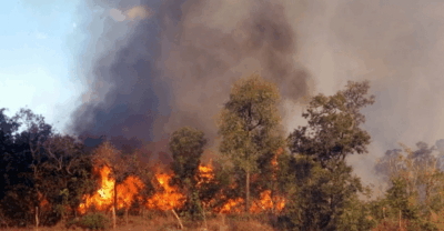 Mato Grosso, Pará e Maranhão. Juntos, somam mais de 96,6 milhões de hectares atingidos pelo fogo