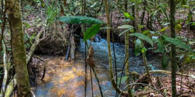 Inscrições para bolsa de estudos na área de agroecologia vão até sexta