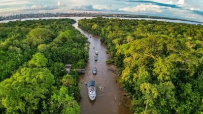 BNDES, BID, Banco do Brasil e Caixa planejam ETF Amazônia para Todos