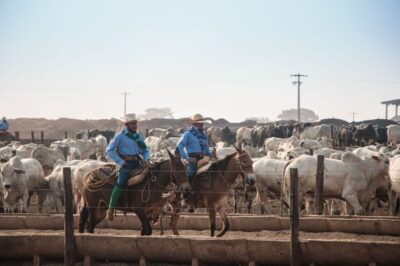 Dia do Agro: Fribal Lidera Inovação e Sustentabilidade no Agronegócio do Nordeste