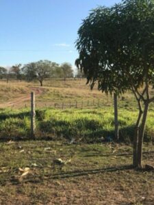 Equatorial Maranhão orienta sobre os riscos e perigos na zona rural durante o período chuvoso