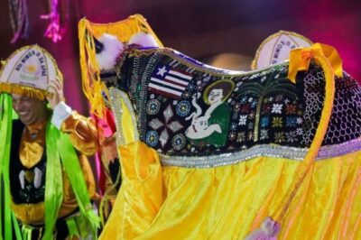 Bumba-Boi Mimoso da APAE de São Luís celebra 30 anos com agenda aberta para o São João 2025