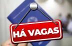 Grupo Fribal abre três vagas de emprego em São Luís no setor de E-commerce