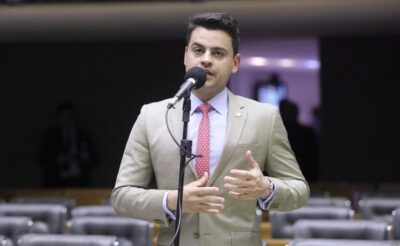 Proposta prevê abrigos públicos para cães e gatos nos municípios com pelo menos 50 mil habitantes