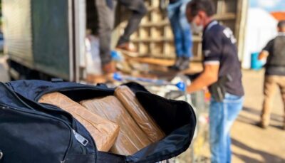 Drogas avaliadas em R$ 25 milhões são incineradas no MA