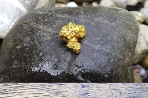UEMA e Agência Nacional de Mineração discutem parceria