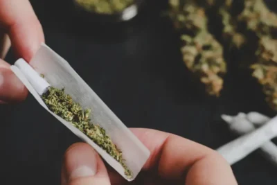 Tribunais começam mutirão para analisar porte de maconha para uso pessoal