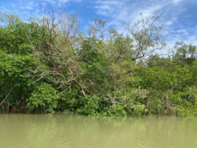 RPPNs ganham protagonismo na luta contra emissões de carbono