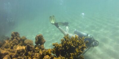 Pesquisadores alertam sobre riscos do banho de lua no litoral de AL