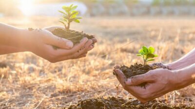 Preservar o meio ambiente: uma urgência que não pode esperar