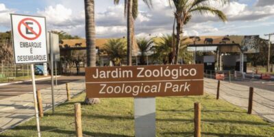 Zoológico de Brasília reabre ao público após casos de gripe aviária