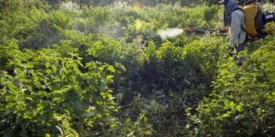 Agrotóxicos usados no Brasil serão monitorados pelo governo
