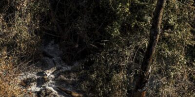 AGU cobra R$ 725 milhões de acusados por crimes ambientais no Pantanal