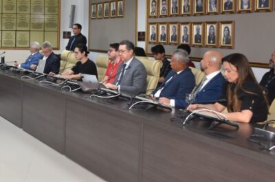MPMA e do MPAL iniciam série de reuniões técnicas
