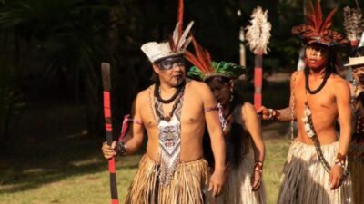 Operação tenta expulsar invasores da terra indígena Arariboia