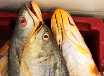 Quaresma movimenta feiras e mercados, mas preços de pescados disparam