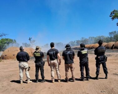 PF combate trabalho análogo à escravidão no Maranhão