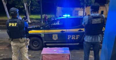 Operação da Polícia Civil do Maranhão e PRF prende homem com R$ 150 mil em drogas e arsenal de uso restrito na saída de São Luís