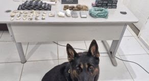 Polícia apreende drogas, armas e prende suspeitos em operação contra o tráfico em São Luís