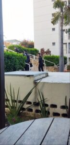 Lei Audir Blanc: federais fazem busca em condomínio no bairro Santa Izabel