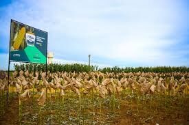 PIB do Maranhão apresenta crescimento de 1,9% no primeiro trimestre de 2025