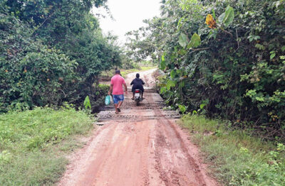 Pontes de carnaúbas do povoado Algodões vão virar brasas para assar churrasco