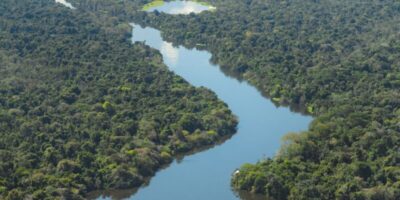 Viva Maria: UnB sedia Fórum Internacional sobre a Amazônia