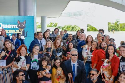 Governo Lula cria RG nacional gratuito para cães e gatos